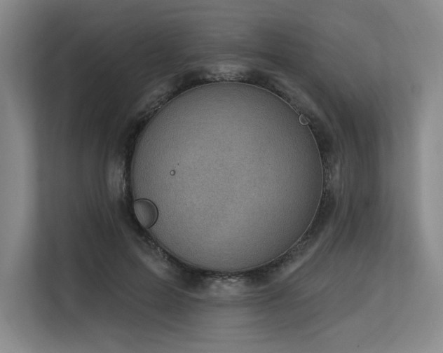 X0000113630599200909181518