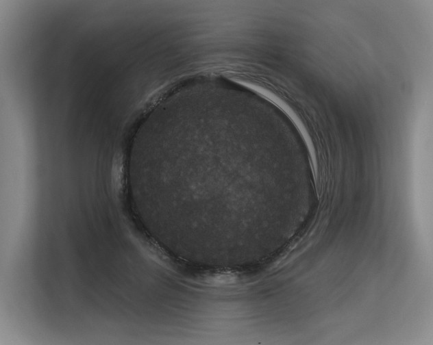 X0000113630600200909181518