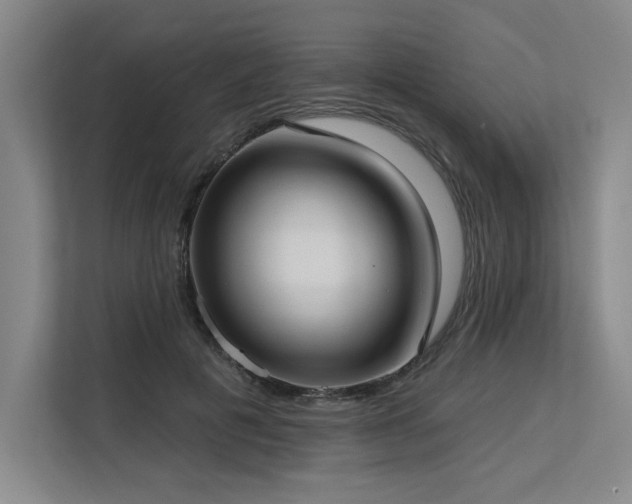 X0000113630601200909181518