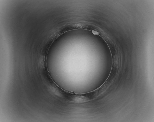 X0000113630605200909181518