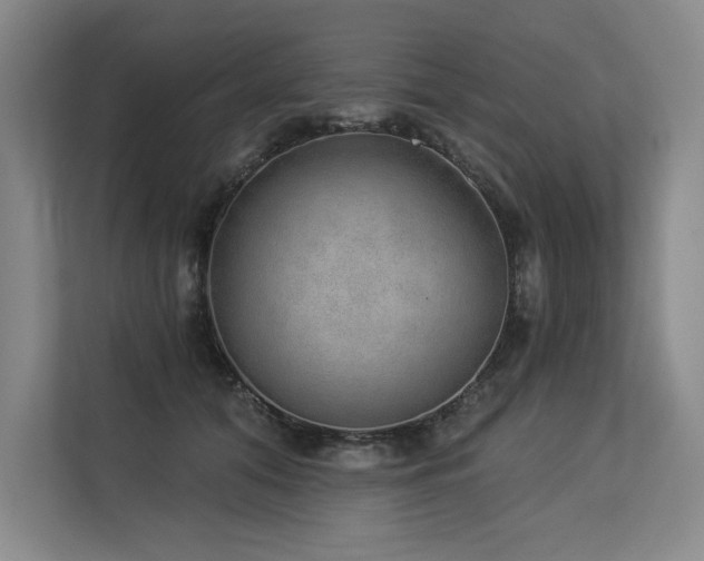 X0000113630608200909181518
