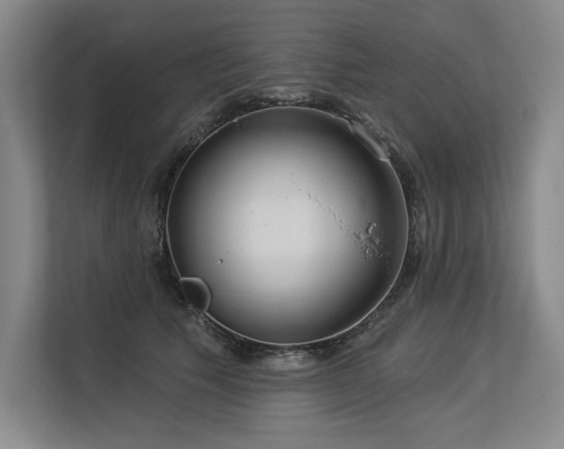 X0000113630609200909181518