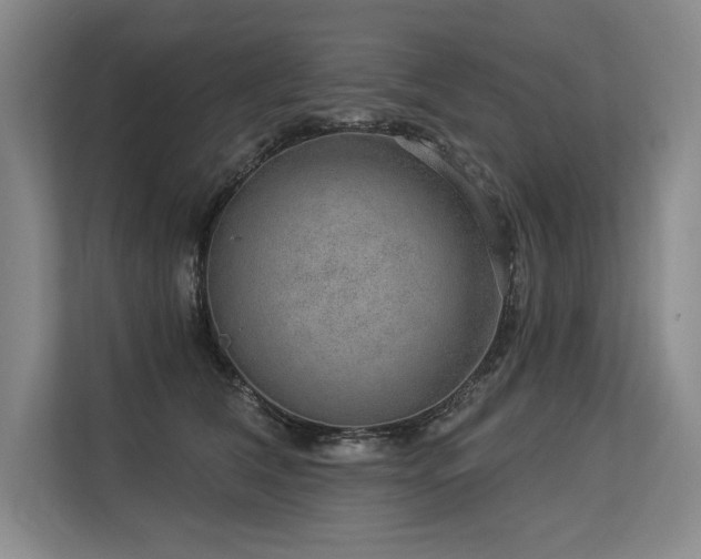 X0000113630612200909181518