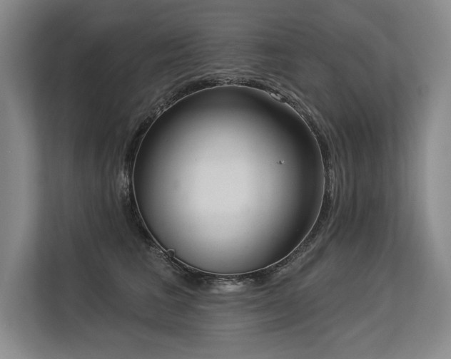 X0000113630613200909181518