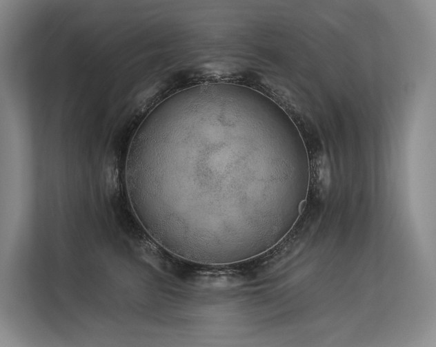 X0000113630615200909181518