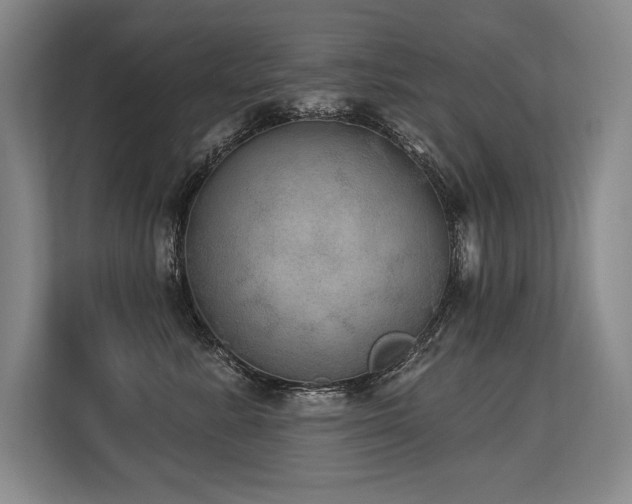 X0000113630619200909181518