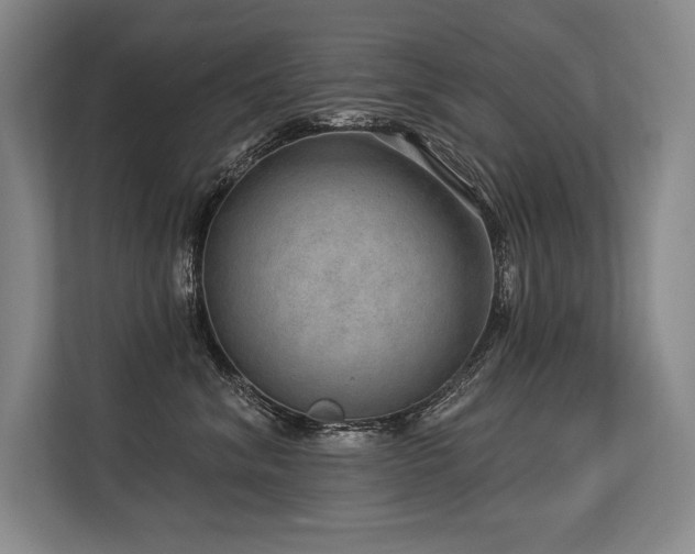 X0000113630620200909181518