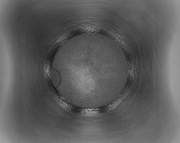 X0000113630622200909181518