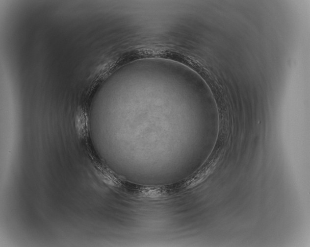 X0000113630624200909181518