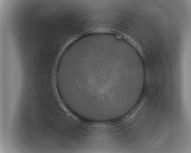 X0000113630625200909181517