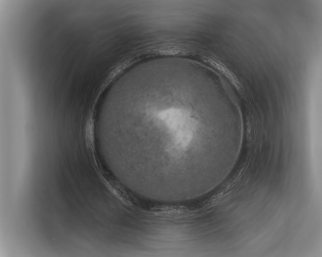 X0000113630626200909181517