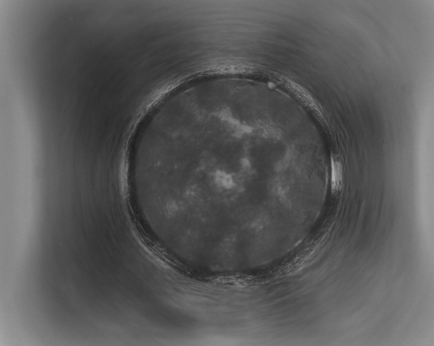 X0000113630627200909181517