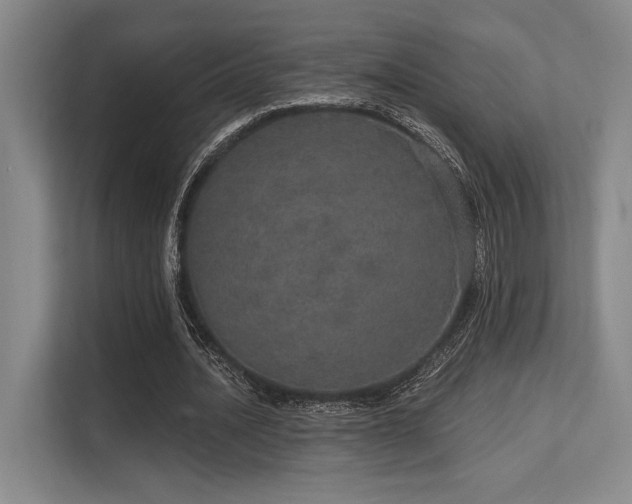 X0000113630628200909181517