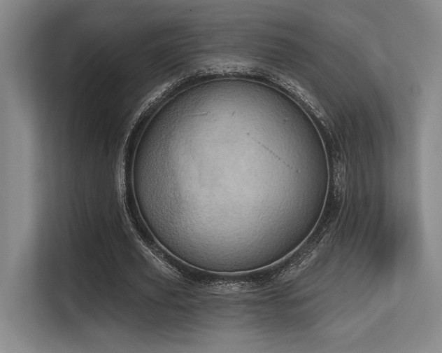 X0000113630629200909181517