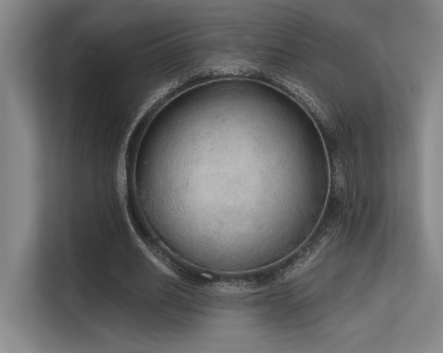 X0000113630630200909181517