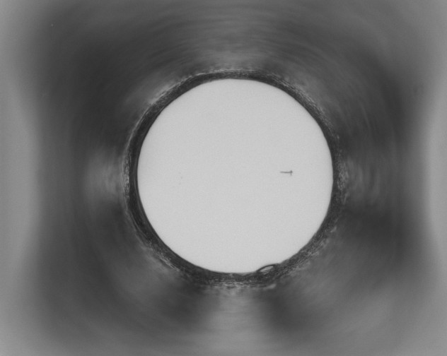 X0000113630632200909181517