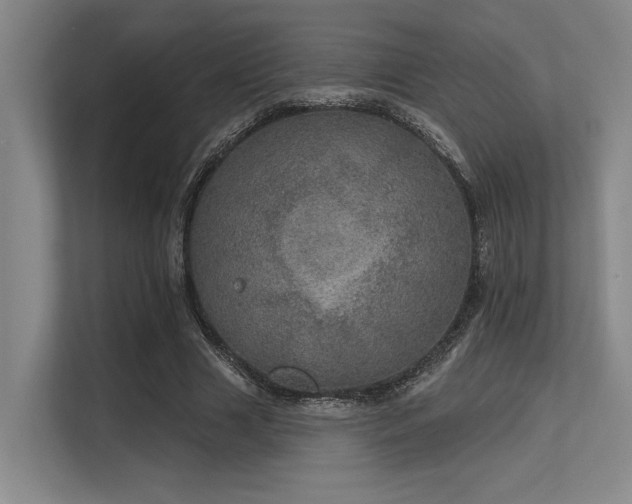 X0000113630633200909181517