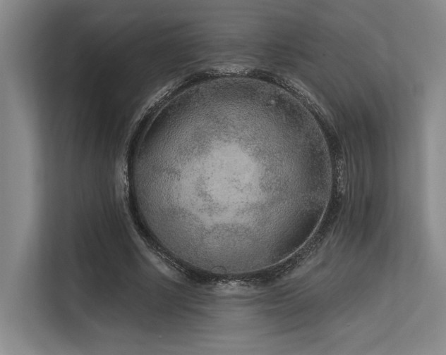 X0000113630634200909181517