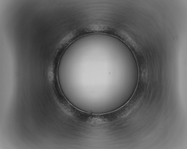 X0000113630635200909181517