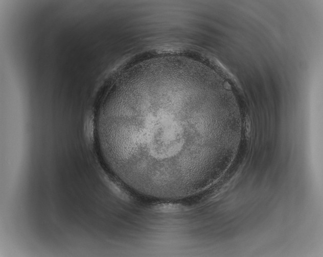 X0000113630637200909181517