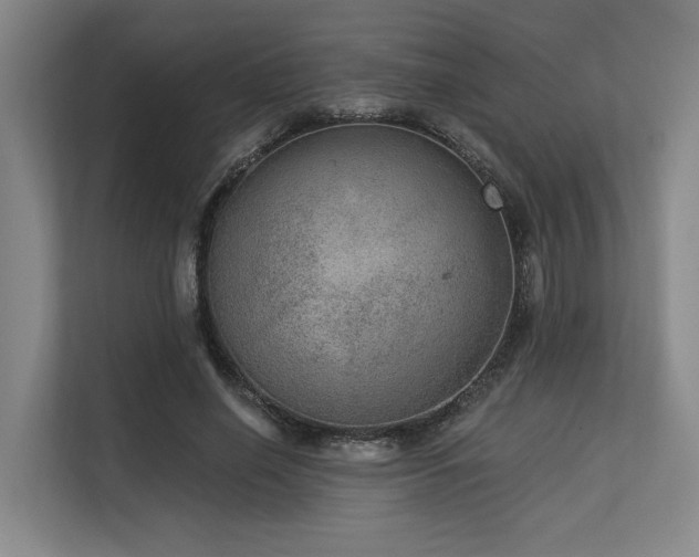 X0000113630638200909181517
