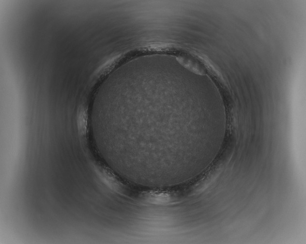 X0000113630640200909181517