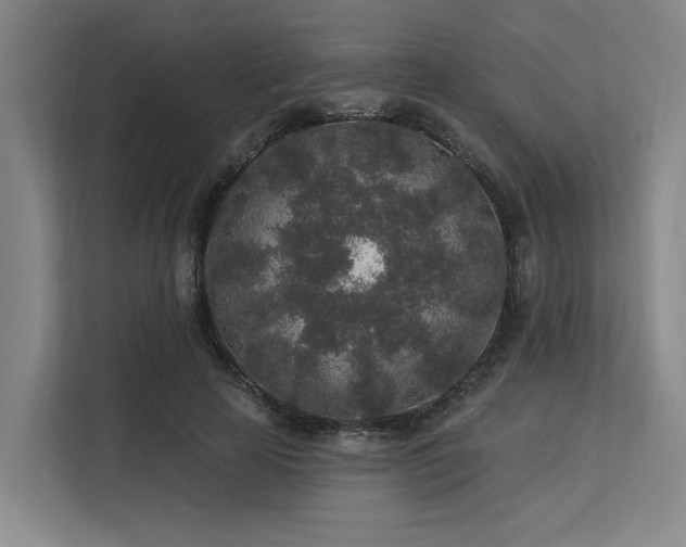 X0000113630641200909181517