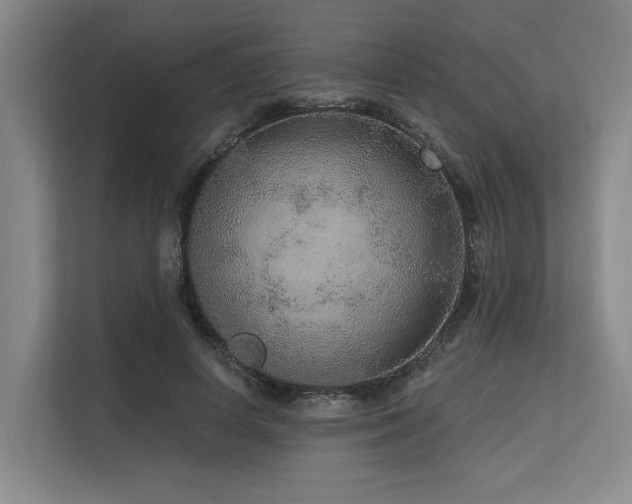 X0000113630642200909181517