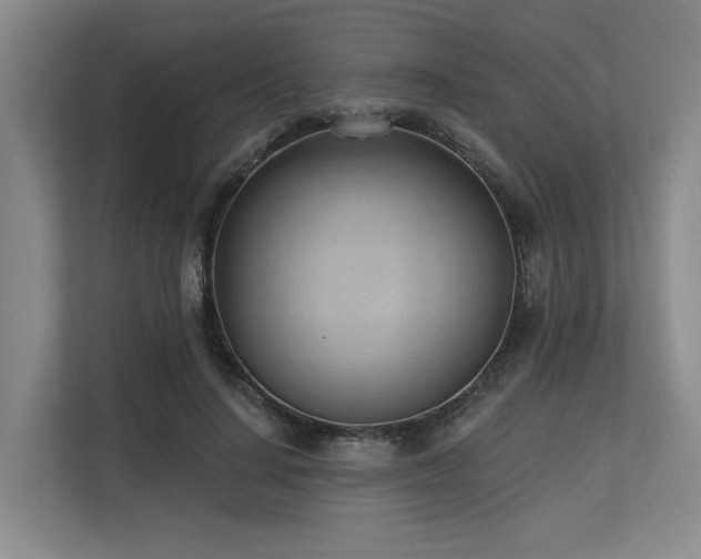X0000113630644200909181517