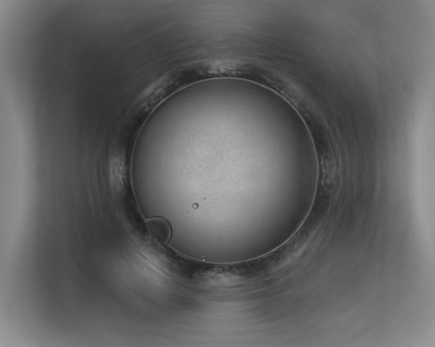 X0000113630648200909181517