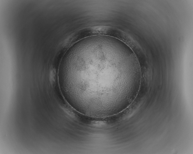 X0000113630649200909181517