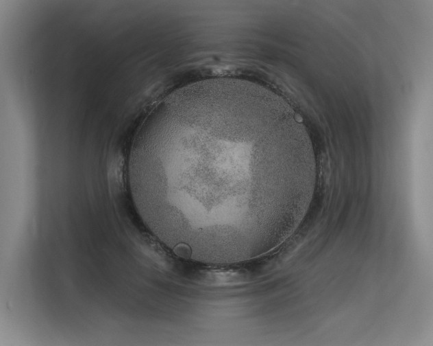 X0000113630650200909181517