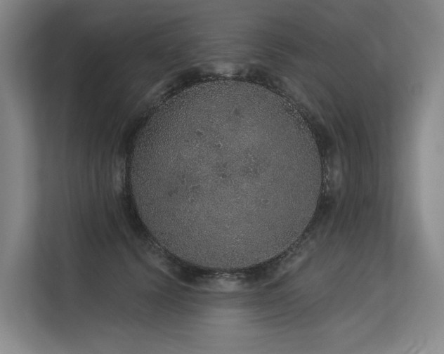 X0000113630656200909181517