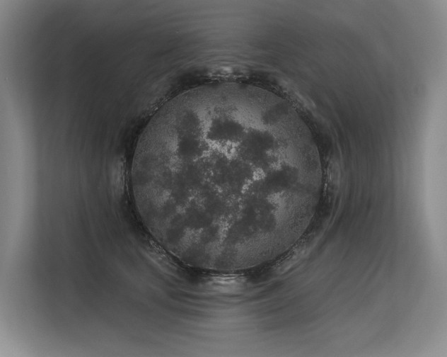 X0000113630659200909181517