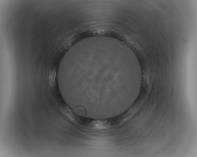X0000113630660200909181517