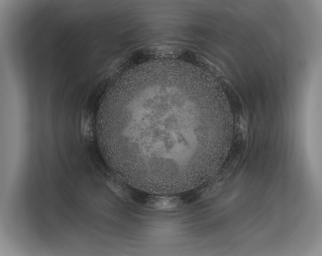 X0000113630663200909181518