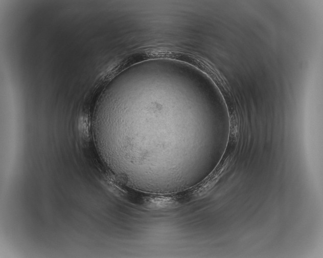 X0000113630669200909181518