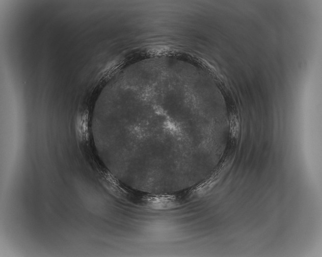 X0000113630670200909181518