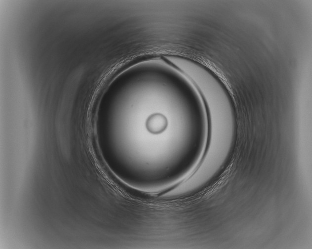 X0000113630673200909181517