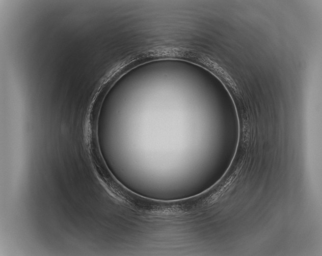 X0000113630674200909181517