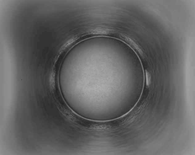 X0000113630675200909181517