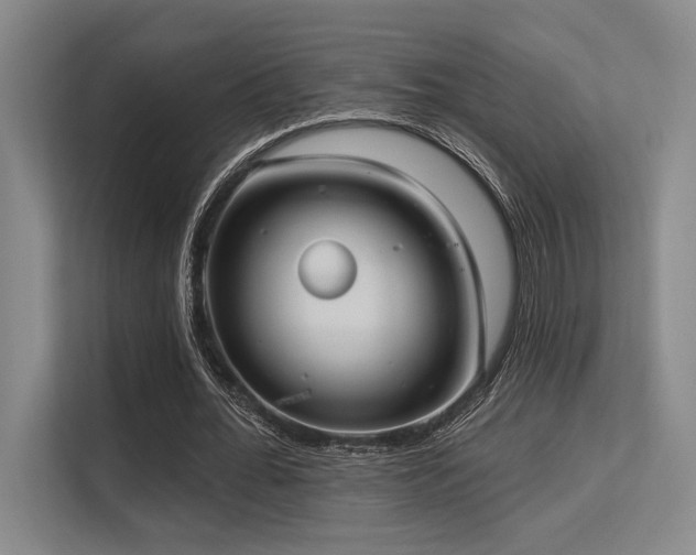 X0000113630676200909181517