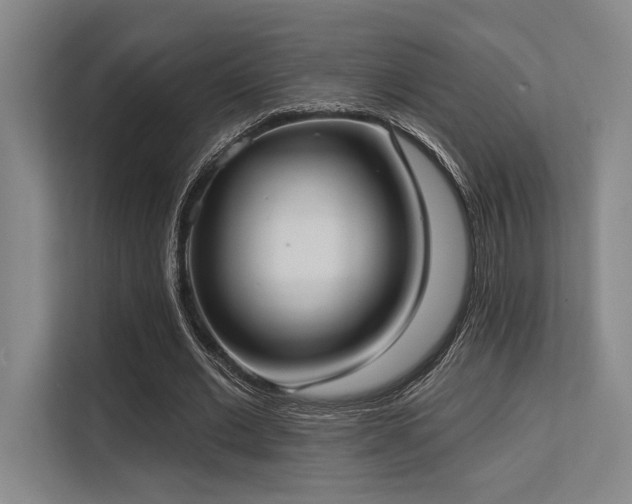 X0000113630677200909181517