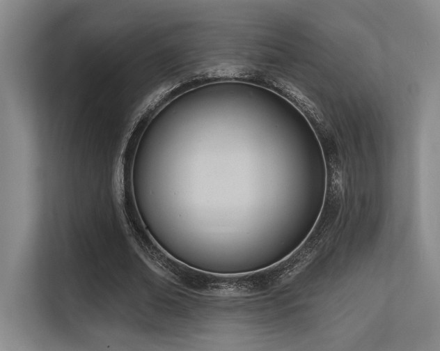 X0000113630678200909181517