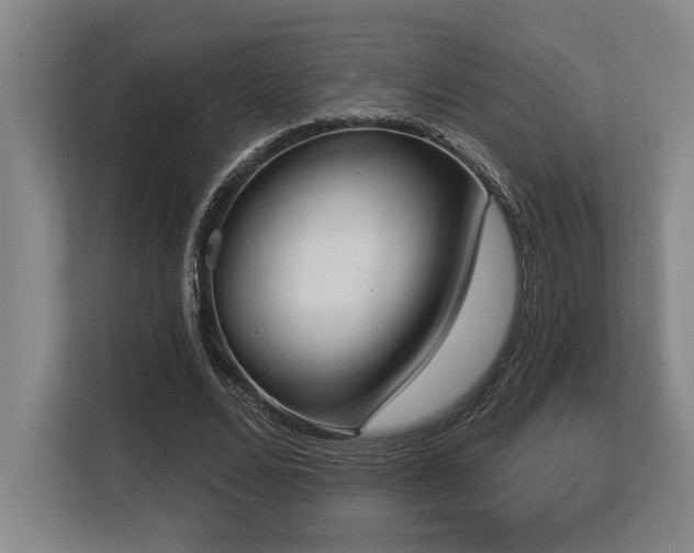 X0000113630680200909181517