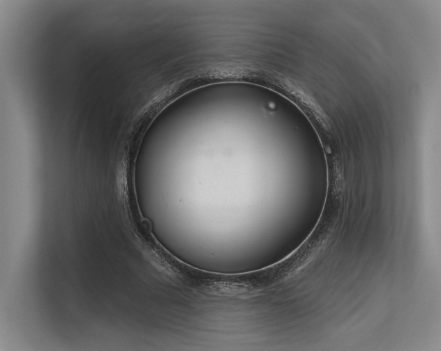 X0000113630681200909181517