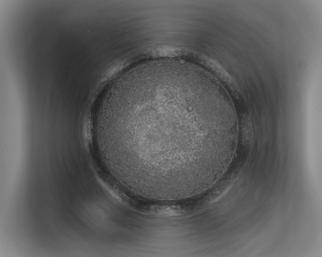 X0000113630683200909181517
