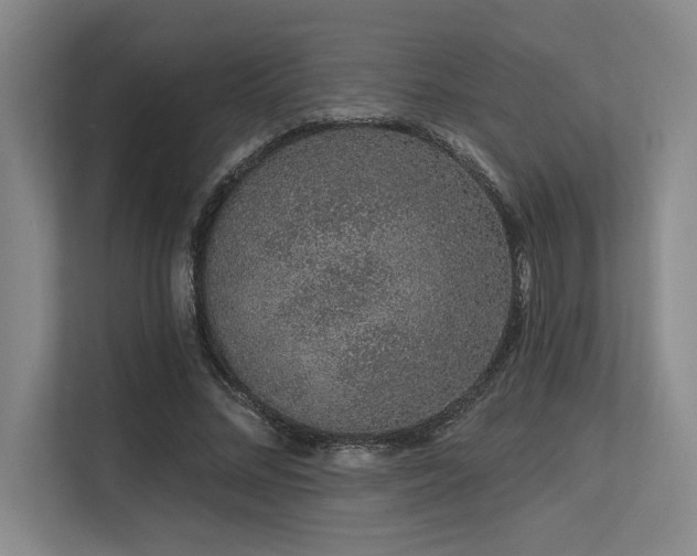X0000113630684200909181517