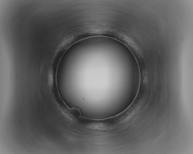 X0000113630685200909181517