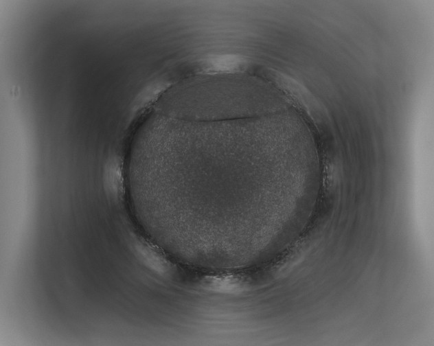 X0000113630688200909181517